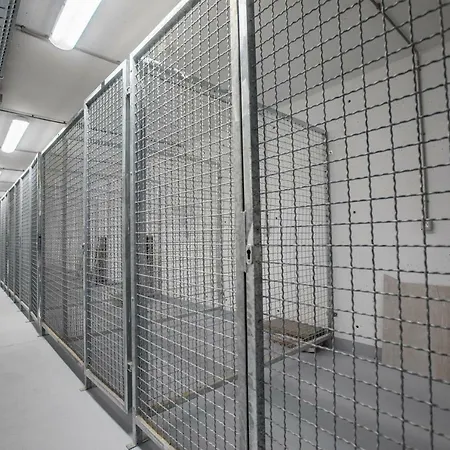 Mojca Apartma Eva-neza, Apartmán Kranjska Gora