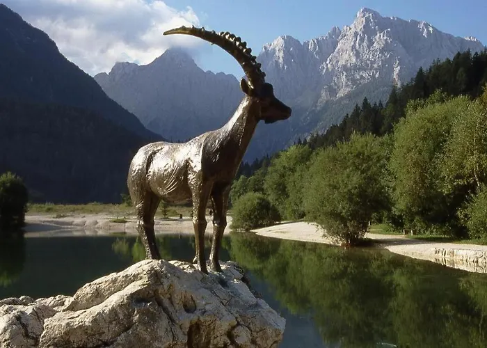 Mojca Apartma Eva-neza, Apartma *