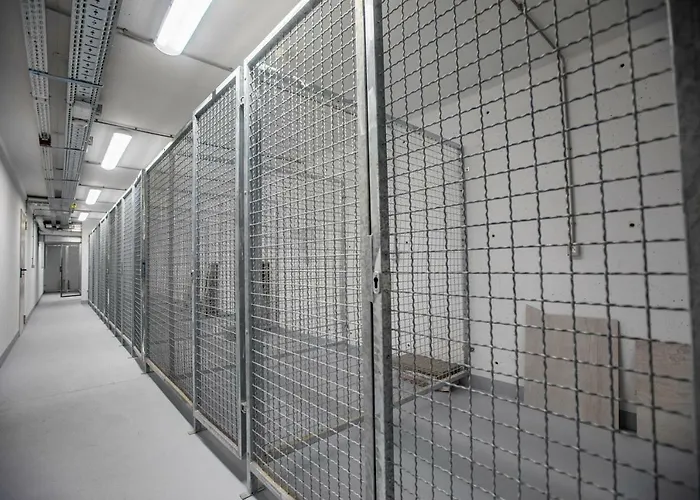 Mojca Apartma Eva-neza, Apartmán Kranjska Gora